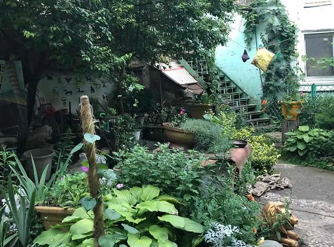 Деволановский 1